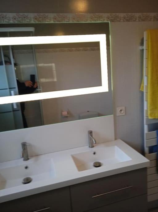 St Malo Maison Avec Jardin Proche Gare Plage Intramuros Chien Admis Parking Gratuit Saint-Malo Extérieur photo